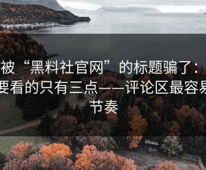 别被“黑料社官网”的标题骗了：真正要看的只有三点——评论区最容易带节奏