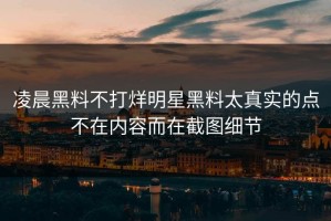 凌晨黑料不打烊明星黑料太真实的点不在内容而在截图细节