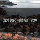 国外黄冈网站推广软件