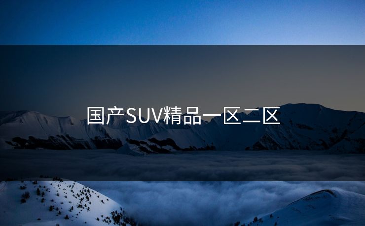 国产SUV精品一区二区 国产SUV精品一区二区